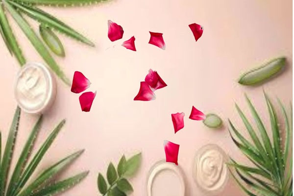 Mixing Aloe vera with rose for glowing skin