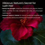 Strengthening Hair Mask - Glisna