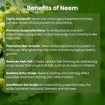 Detangling Neem Comb - Glisna