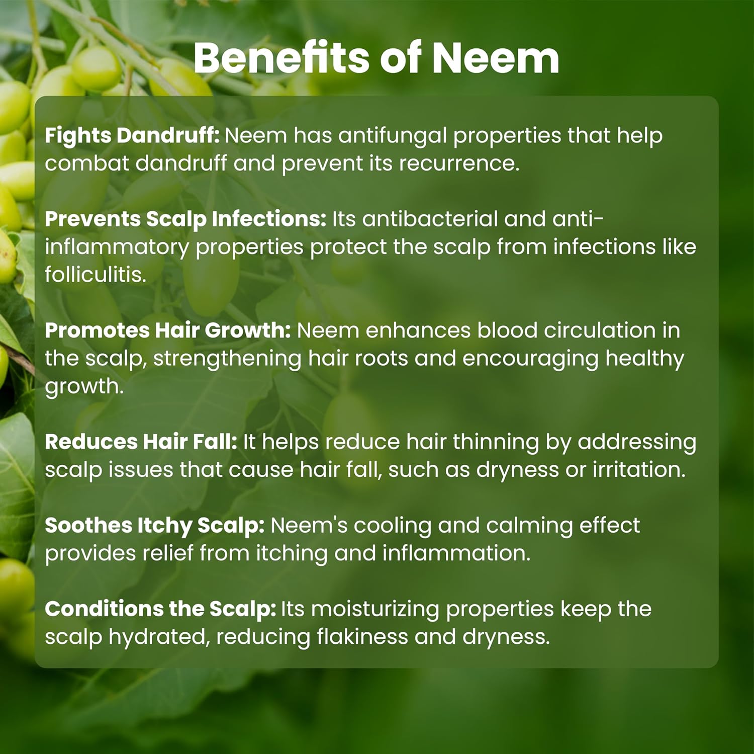Detangling Neem Comb - Glisna