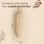 Natural Loofah compact