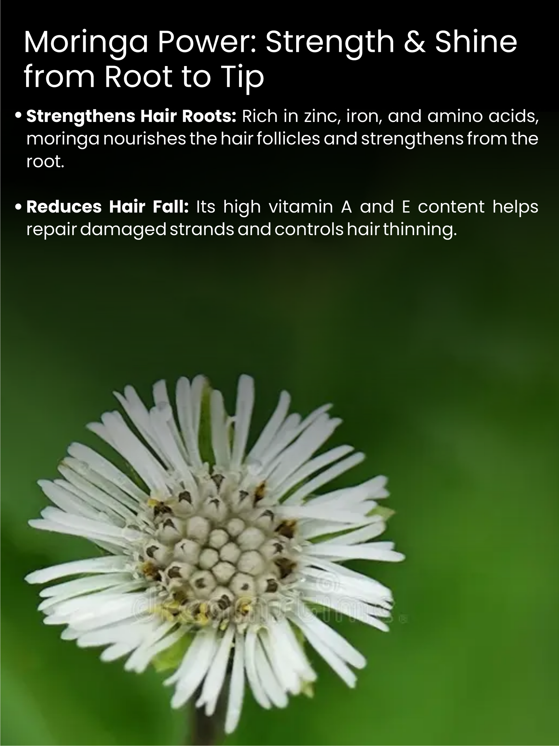 Dandruff Preventing Methi Jal - Glisna