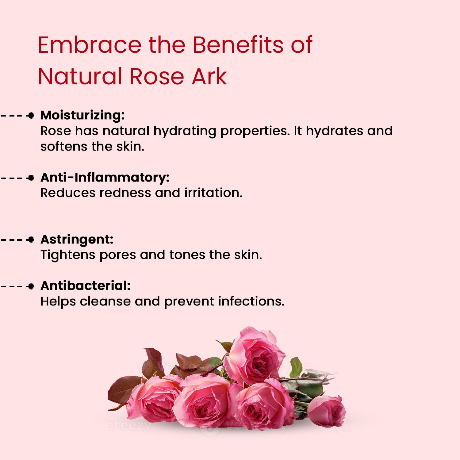 Rose Ark - Glisna
