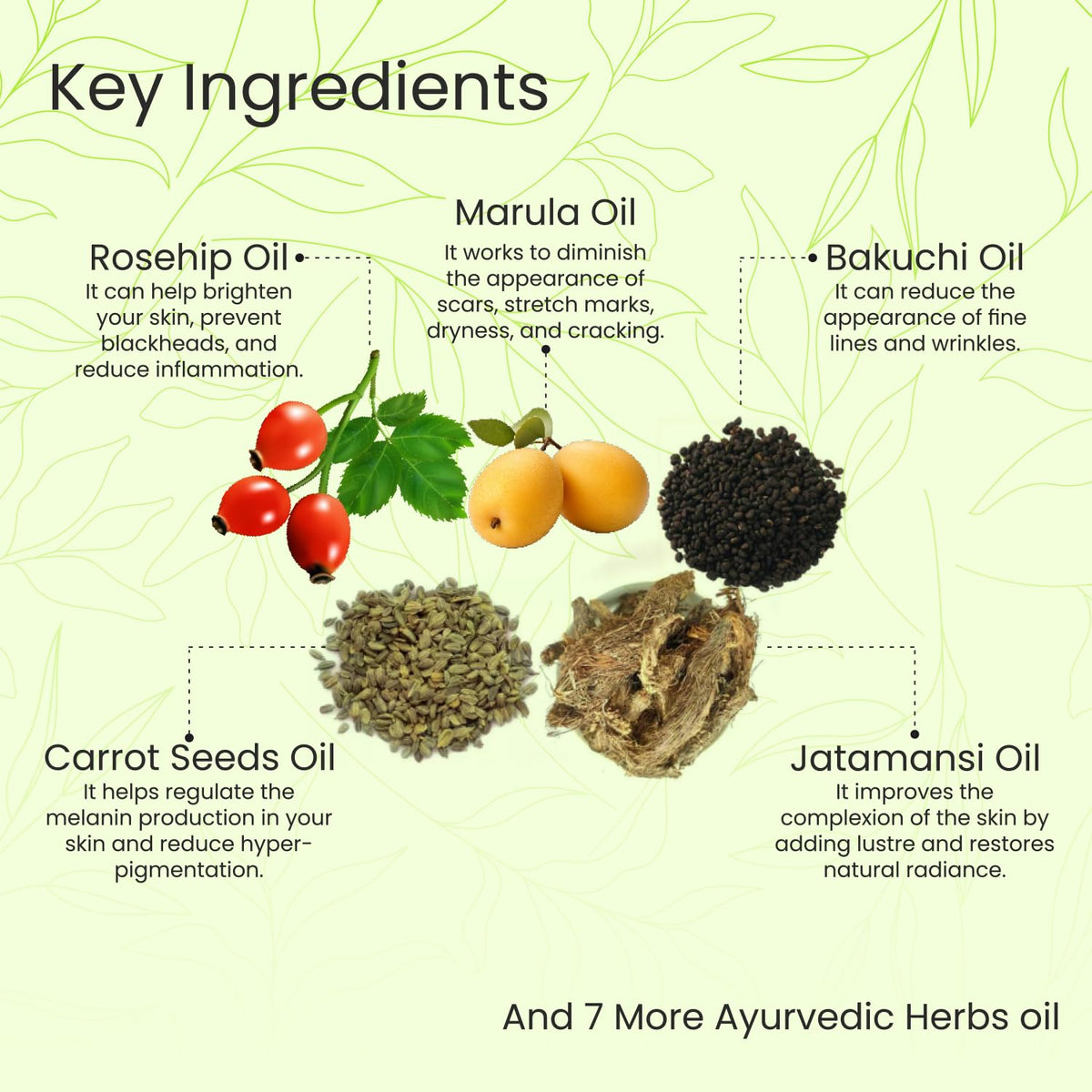 Anti-Aging Serum - Glisna