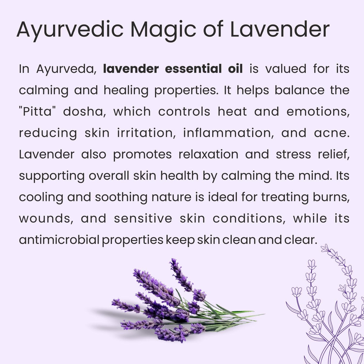 Lavender Essential Oil - Glisna