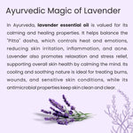 Lavender Essential Oil - Glisna
