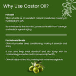 Olive Pure Oil - Glisna