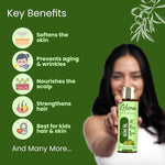 Olive Pure Oil - Glisna