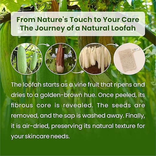 Rectangular Loofah PACK OF 2 - Glisna