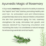 Rosemary Essential Oil - Glisna