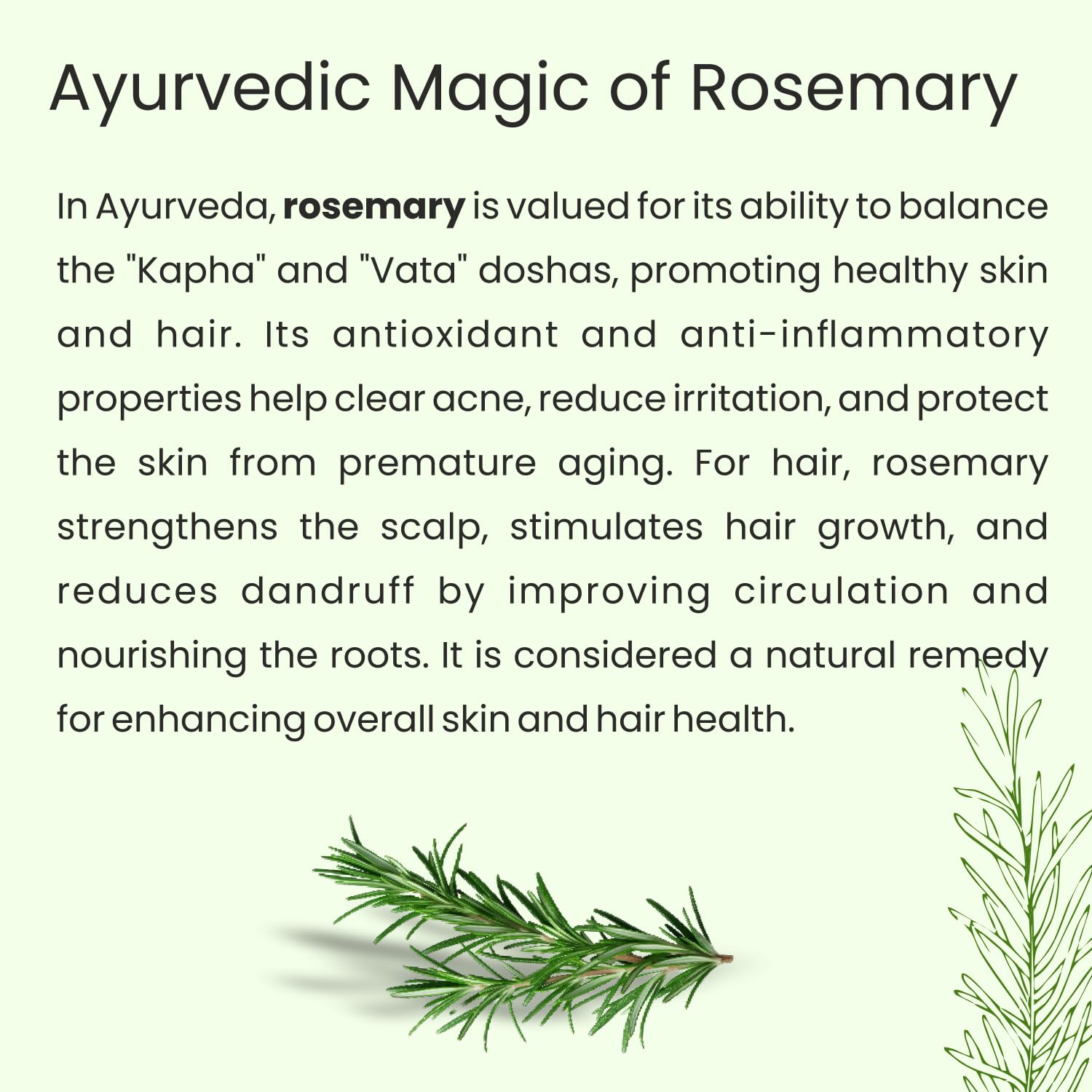Rosemary Essential Oil - Glisna