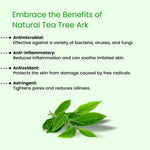 Tea Tree Ark - Glisna