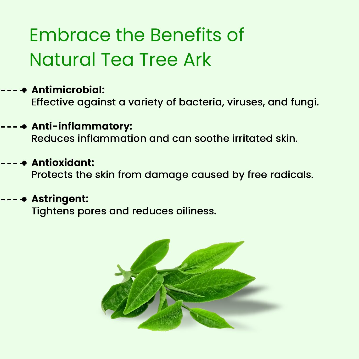 Tea Tree Ark - Glisna