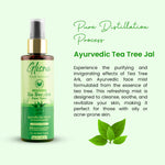 Tea Tree Ark - Glisna